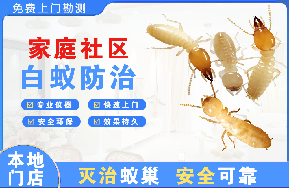 邛崃家庭社区白蚁防治