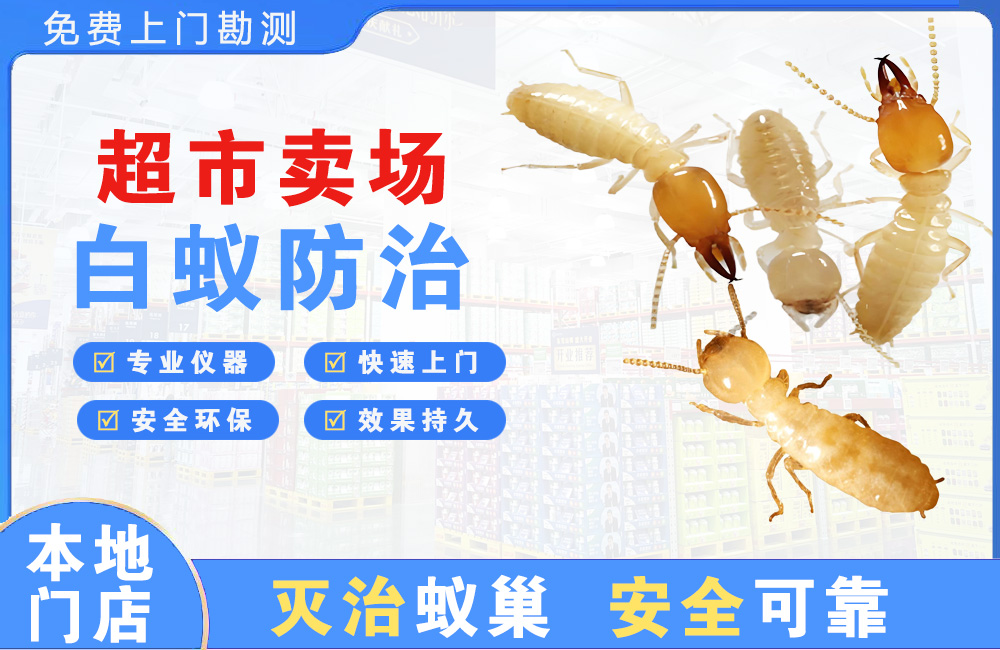 邛崃超市卖场白蚁防治