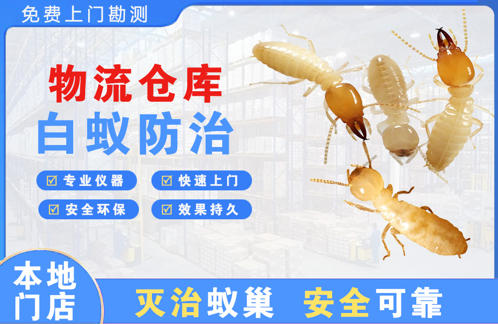 邛崃物流仓库白蚁防治