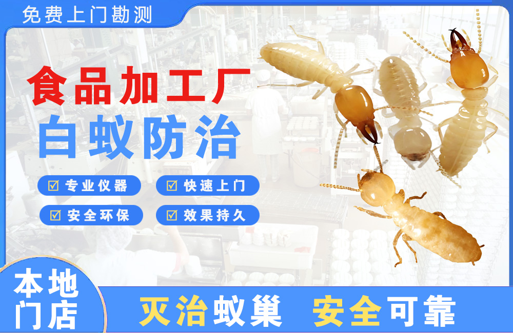 邛崃食品加工厂白蚁防治