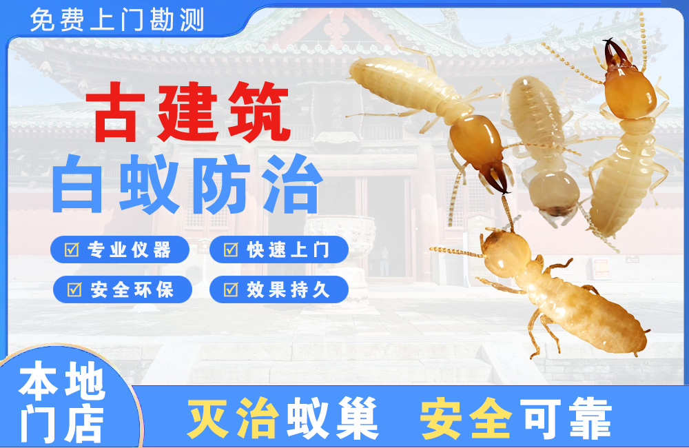 邛崃古建筑白蚁防治