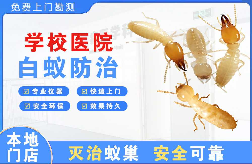 邛崃学校医院白蚁防治