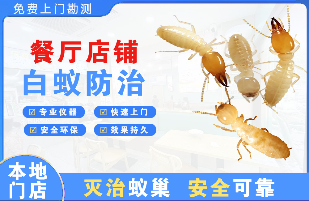 邛崃餐厅店铺白蚁防治